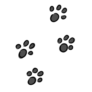犬の足跡のイラスト素材（フリー）