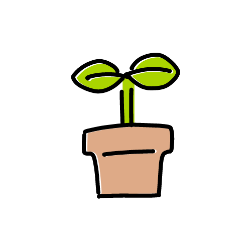 植えられている植物の芽